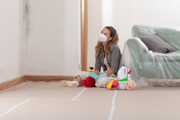 Reliable Basement Mold Remediation contractor in Woodbury Heights, NJ by Car Mold Remediation